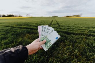 finanzgrundlagen.de - Die Zukunft der Finanzen: Langfristige Renditen durch nachhaltige Geldanlagen
