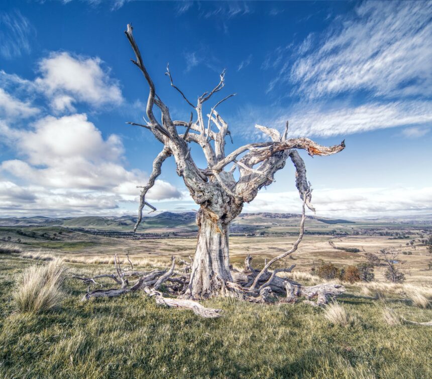 pexels photo 4953769.jpegautocompresscstinysrgbdpr2h650w940dldosya